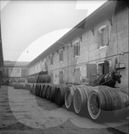 rdb00352384