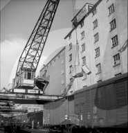rdb00352787