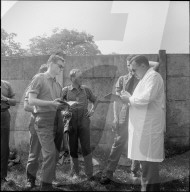 rdb00354342