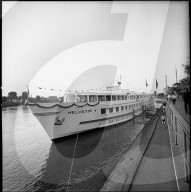 rdb00356029