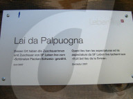 rdb00367788