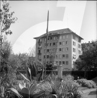 rdb00356602