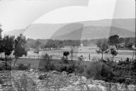 rdb00369652