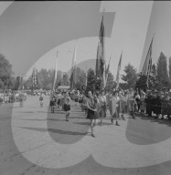 rdb00358983