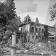 rdb00370824
