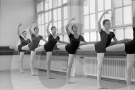 rdb00360195
