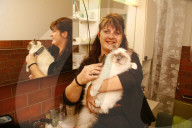 Sweet Destiny, Katzen-Weltmeister, 2009