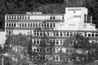 rdb00361176