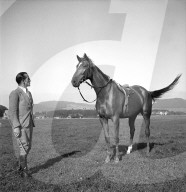 rdb00372642