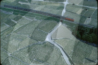 rdb00375304
