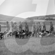 rdb00375852