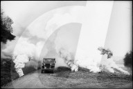 rdb00377017