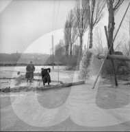 rdb00377346