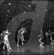 rdb00377769