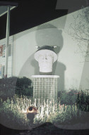 rdb00379037