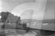rdb00379456