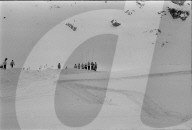 rdb00380618