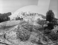 rdb00380967