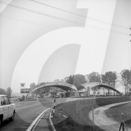 rdb00383432