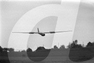 rdb00387136