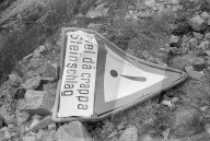 rdb00389166