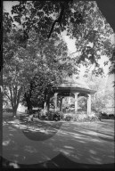 rdb00391237