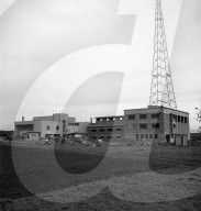 rdb00393498