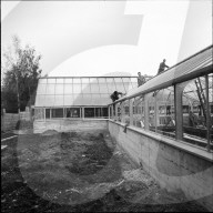 rdb00395362