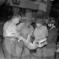 rdb00401640
