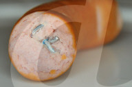 rdb00402047