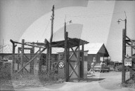 rdb00403277