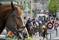 Pro Pferdegestuet Avenches