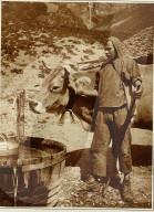 rdb00422234