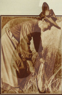 rdb00425142