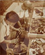 rdb00449601