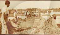 rdb00452725