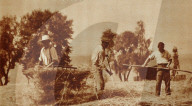 rdb00452848