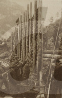 rdb00455348