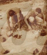 rdb00455524