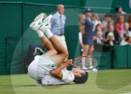 WIMBLEDON 2013