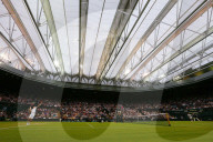 WIMBLEDON 2013