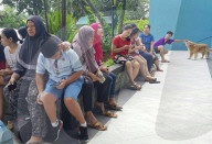 FEATURE - Best of: Bilder des Tages