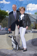 Lys Assia, Schlagers�ngerin 2014
