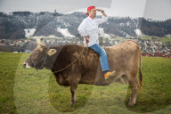 Andreas C. Studer, Koch 2014