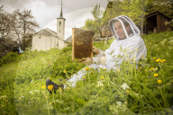 Andreas Furrer, Imker Reportage in Greich 2014