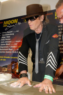 Moon & Stars Festival in Locarno, Udo Lindenberg 2014