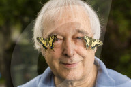 Marc de Roche, Papa Papillon, Schweizer Schmetterlingsz�chter 2014