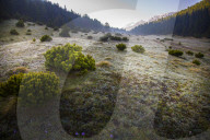 100 Jahre Schweizerischer Nationalpark, 2014