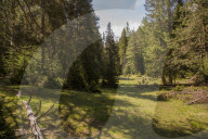 100 Jahre Schweizerischer Nationalpark, 2014