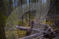 100 Jahre Schweizerischer Nationalpark, 2014
